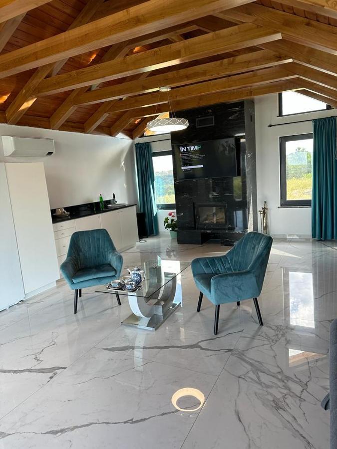 Casa Moderna In Sinteu - Intersectia Intre Modern Si Linistea Naturii Huta Voivozi Exterior foto